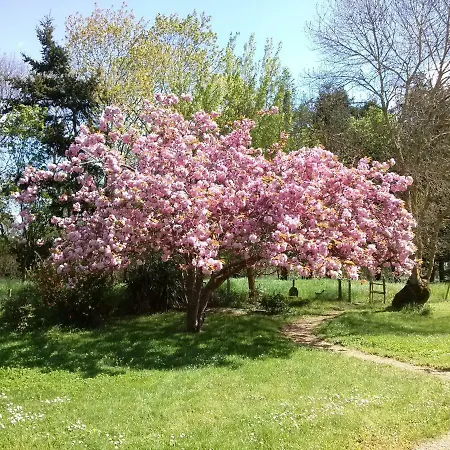 Rive Gauche - D'hotes En Bord D'authion Holiday home *