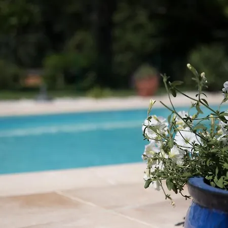 Bed & Breakfast Rive Gauche - Chambres D'hotes En Bord D'authion Maze