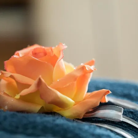 Holiday home Rive Gauche - D'hotes En Bord D'authion