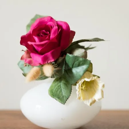 Rive Gauche - D'hotes En Bord D'authion