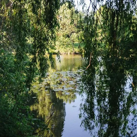 Rive Gauche - D'hotes En Bord D'authion Prázdninový dům *