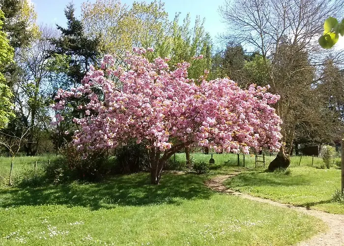 Rive Gauche - D'hotes En Bord D'authion Vakantiehuis *