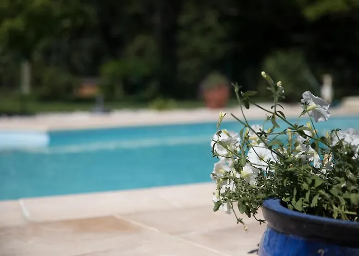 Vakantiehuis Rive Gauche - D'hotes En Bord D'authion Mazé