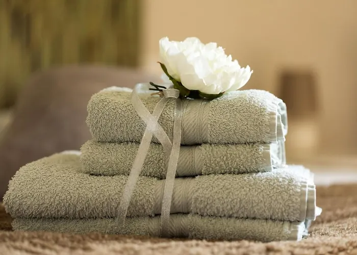 Rive Gauche - D'hotes En Bord D'authion Mazé