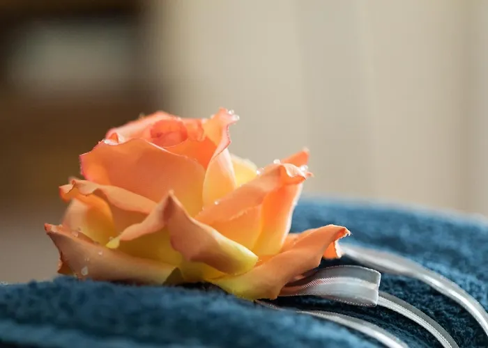 Vakantiehuis Rive Gauche - D'hotes En Bord D'authion