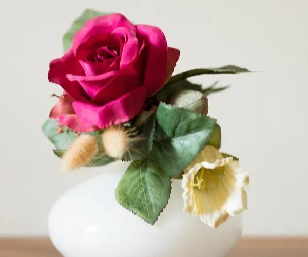 Rive Gauche - D'hotes En Bord D'authion