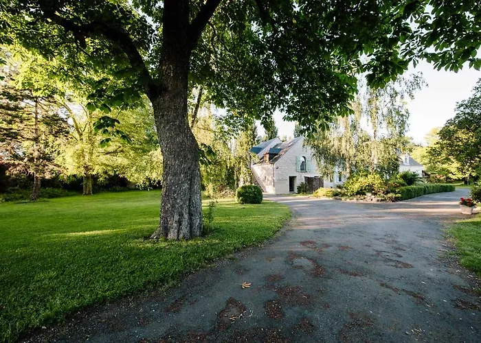 Rive Gauche - D'hotes En Bord D'authion * Maze