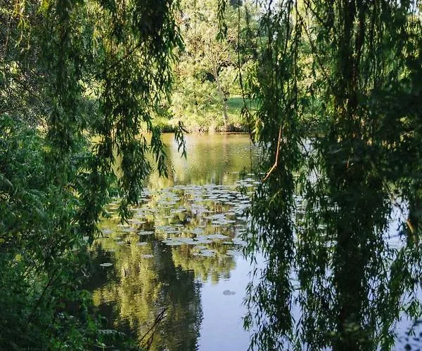 Rive Gauche - D'hotes En Bord D'authion Дом отдыха *