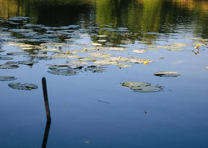 Rive Gauche - D'hotes En Bord D'authion * Maze